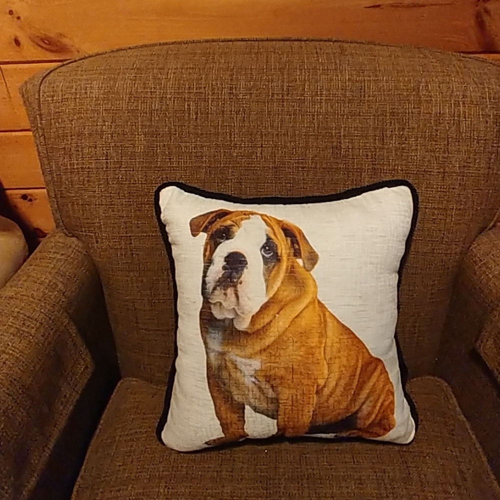 Decorative Throw Pillow
